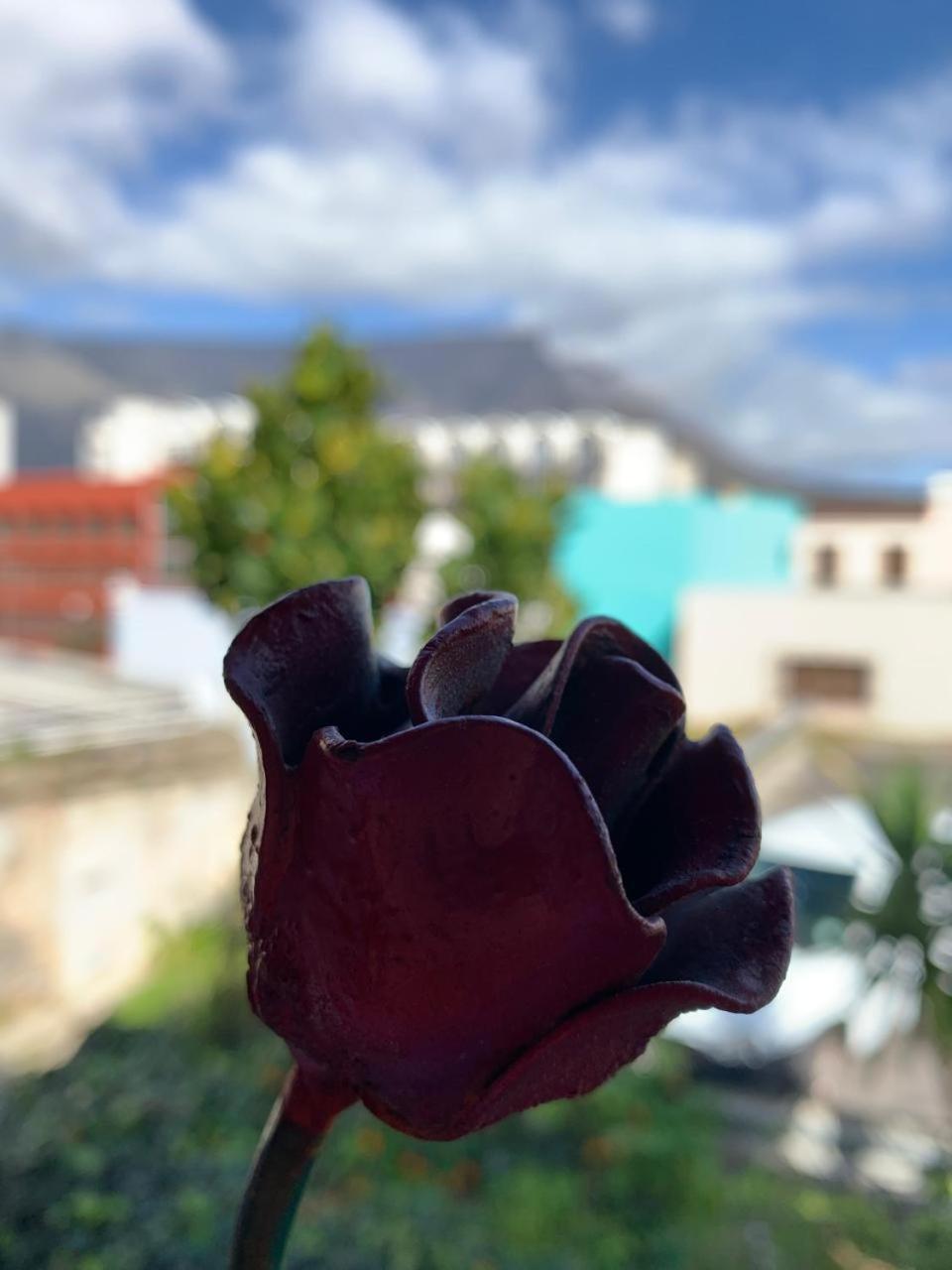 La Rose B&B Cape Town Ngoại thất bức ảnh