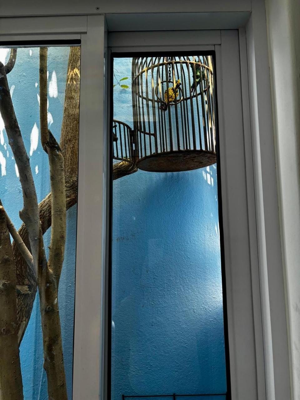 La Rose B&B Cape Town Ngoại thất bức ảnh